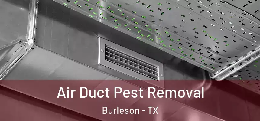  Air Duct Pest Removal Burleson - TX