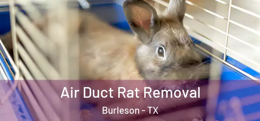  Air Duct Rat Removal Burleson - TX