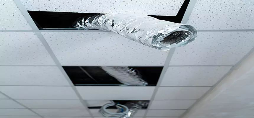 Our Air Duct Pet Hair Removal Services in Burleson, TX