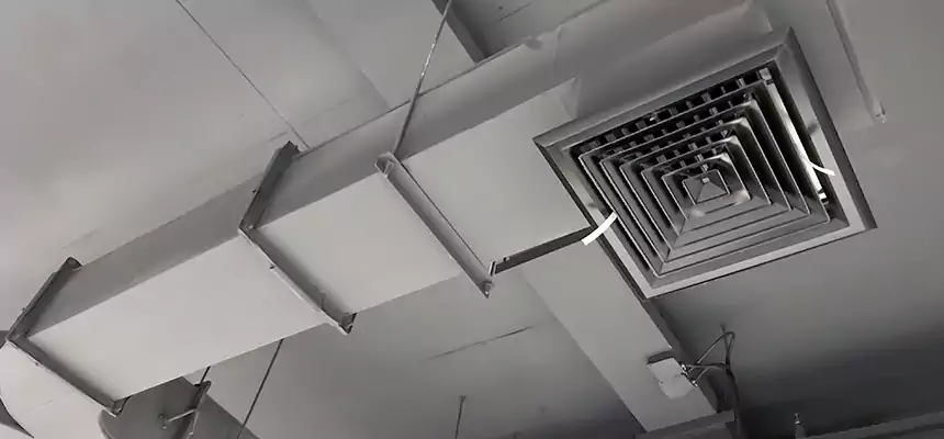 Restorative Allergy Relief Vent Cleaning – Coil, Blower & Housing Detail in Burleson