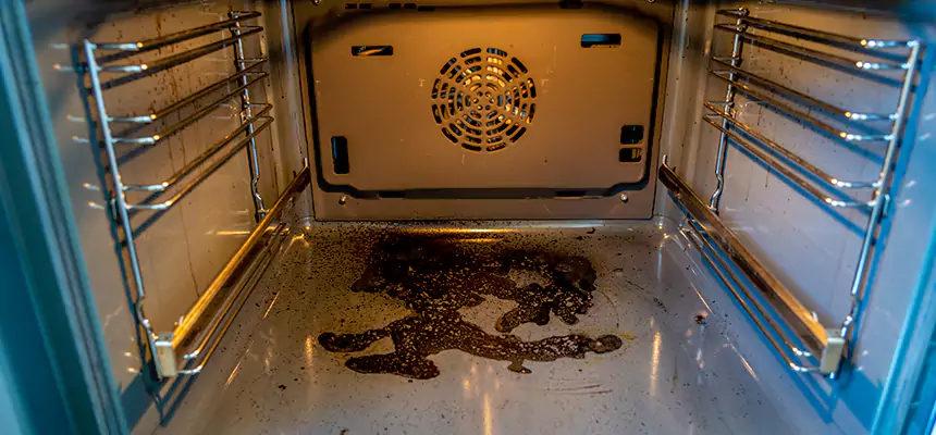 Our Dryer Vent Mold Cleaning Services in Burleson, TX