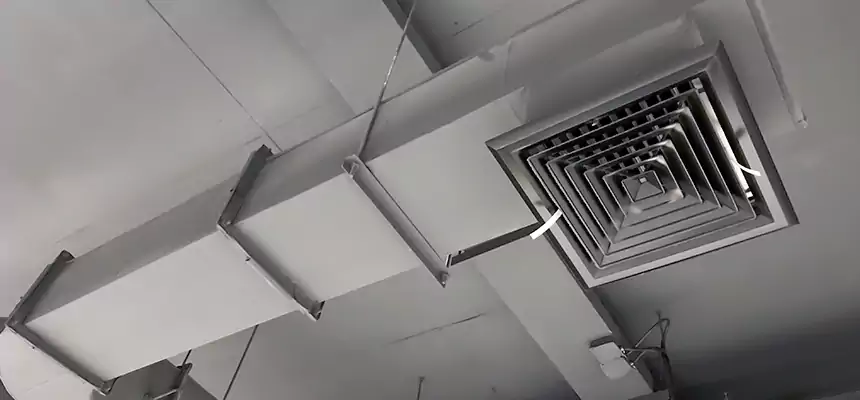 Our Pest Removal From Ducts Services in Burleson, TX