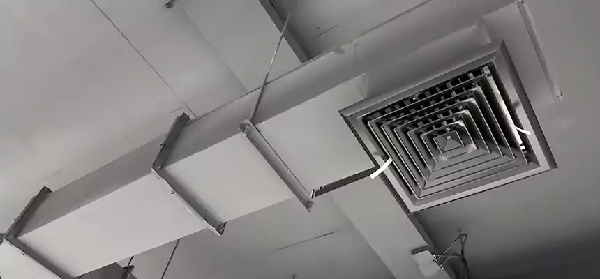 Our Rodent Droppings In Vents Services in Burleson, TX