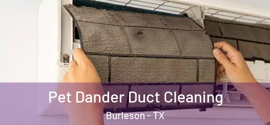  Pet Dander Duct Cleaning Burleson - TX