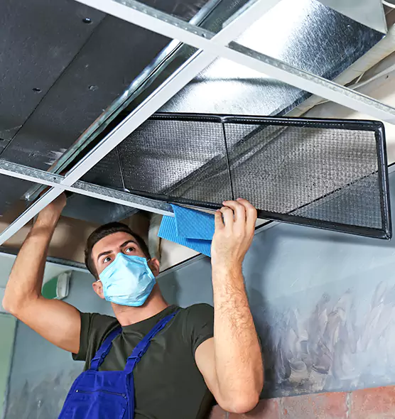 About Air Duct Bacteria Removal in Burleson