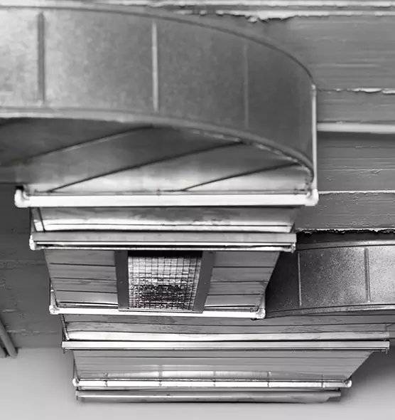 Professional Air Duct Pest Removal in Burleson, TX