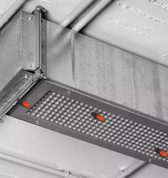 Affordable Insect Removal from Air Ducts in Burleson, TX