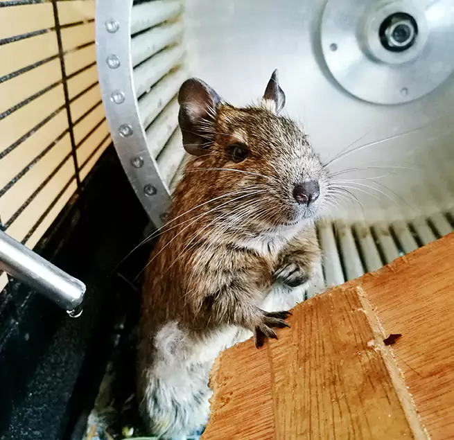 Why Homeowners & Businesses Trust Us Burleson, TX?