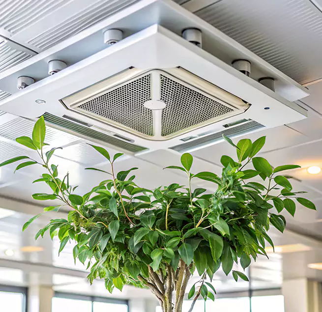 Why Homeowners & Businesses Trust Us in Burleson, TX